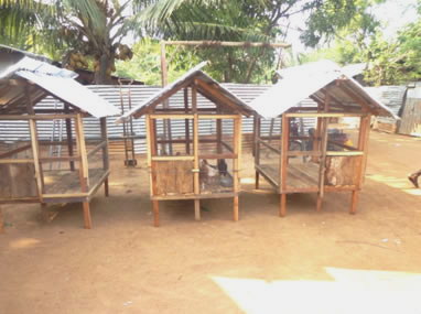 New chook sheds built from money from Ten for Tamils.